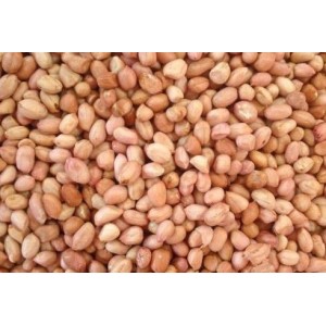 Specially selected raw Chinese peanuts